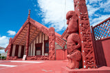 Cultural Connections & Marae